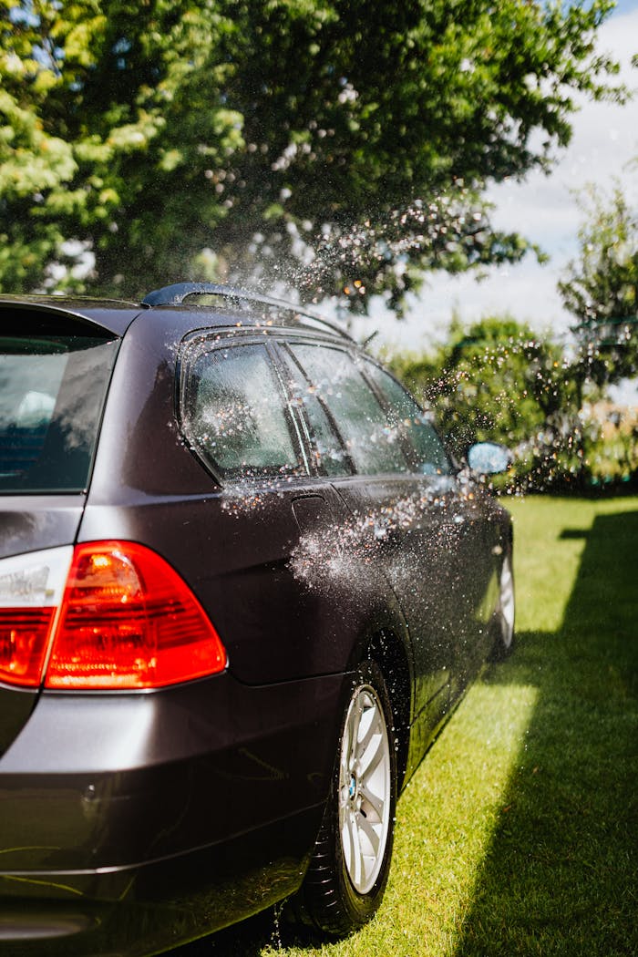 A black car being washed with water sprinkles in a sunny garden setting.